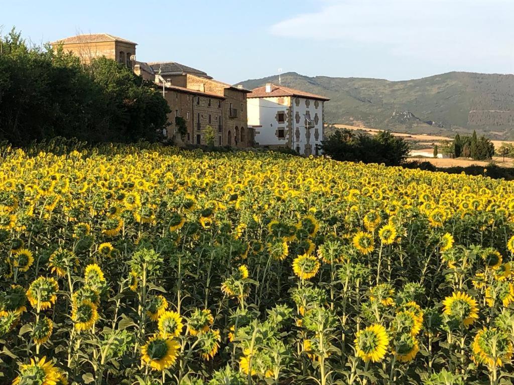 Migueltxoenea Villa Lacar Exterior photo